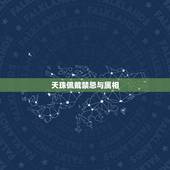 天珠佩戴禁忌与属相，天珠佩戴禁忌