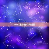 2022金牛座11月运势，2022金牛座运势如何
