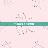 1987属兔人三大劫难，1987年兔33岁后财运2022