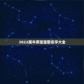2022属牛男宝宝取名字大全，2022 年属牛宝宝起名