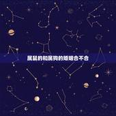 属鼠的和属狗的婚姻合不合，女鼠的和男狗的婚姻合不合