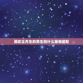 属蛇正月生的男生和什么属相最配，属蛇男和什么属相最配