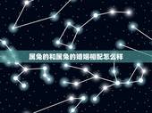 属兔的和属兔的婚姻相配怎么样，兔和兔合不合适婚姻