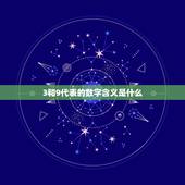 3和9代表的数字含义是什么，数字9代表什么