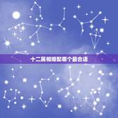 十二属相婚配哪个最合适，生日配对：十二生肖如何婚配最好命