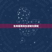 生肖猿男和生肖猪女婚配，属相鸡女和属猪男配吗？