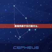 属相鸡属于五行属什么，1981年属鸡的五行属什么是属金还是属木？