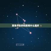 属兔子女的和属相什么最好，87年属兔孩子什么属相好