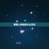 属兔人财运在什么方位，属兔人2022 年吉凶方位