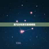 属马女和其它属相婚配，生肖属马的女适合跟什么相配