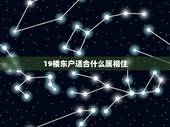 19楼东户适合什么属相住，不同生肖住哪个楼层比较适合