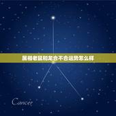 属相老鼠和龙合不合运势怎么样，男属鼠与女属龙相配吗？