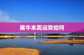 属牛本周运势如何，请详细分析此八字女命：甲子 丁丑 壬申 甲辰，日干强