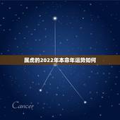 属虎的2022年本命年运势如何，86年属虎人最穷不过36岁