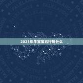 2021年牛宝宝五行属什么，大师们，可以帮我看看牛宝宝五行缺什么吗？