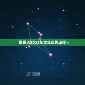 属猴人2023年全年运势运程，92年生肖猴2023年运势如何