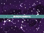 属虎炉中火佩戴什么，属虎炉中火命