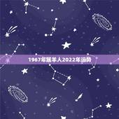 1967年属羊人2022年运势，属羊人未来5年的运势