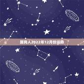 属狗人2022年12月份运势，属狗人2022年全年运势如何？