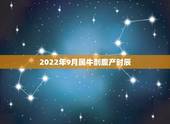 2022年9月属牛剖腹产时辰，属牛出生时辰的命运