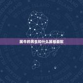 属牛的男生和什么属相最配，属牛男性和什么属相女性最配