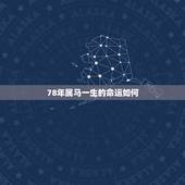 78年属马一生的命运如何，78年属马男晚年命运怎么样？
