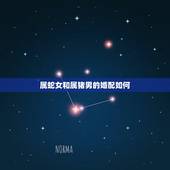 属蛇女和属猪男的婚配如何，女属蛇和男属猪配吗？属蛇的和属猪的配吗？