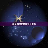 属鼠的桃花劫是什么生肖，生肖配对属相婚配表十二属相配对吉凶表