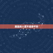 属鼠的人是不是命不好，虚日鼠凶对属鼠好不好