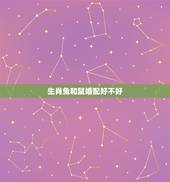 生肖兔和鼠婚配好不好，生肖属鼠和兔的婚姻好吗