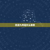 花漫九州是什么意思，春盈四海千家乐花漫九州万里娇对联
