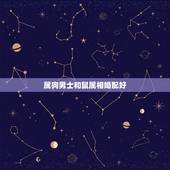 属狗男士和鼠属相婚配好，属狗的和属鼠的婚配合适吗