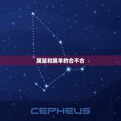 属鼠和属羊的合不合，属鼠和属羊的合财吗