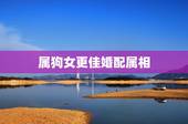 属狗女更佳婚配属相，属虎的今年多大