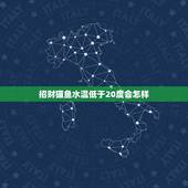 招财猫鱼水温低于20度会怎样，招财猫鱼的水温30度可以吗