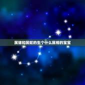 属猪和属蛇的生个什么属相的宝宝，属猪的与属蛇的属相是否相克