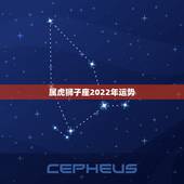 属虎狮子座2022年运势，属虎的O血型狮子座的今年运势