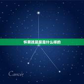 怀男孩晨尿是什么样的，同事说用酒精对晨尿可以测出是怀的男孩还是女孩