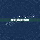 属相猪和属相猪相冲吗，属猪和什么生肖相冲