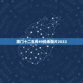 澳门十二生肖49码表图片2022，2021香港十二生肖码表