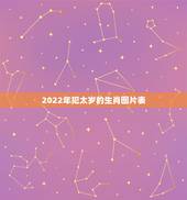 2022年犯太岁的生肖图片表，2022年犯太岁最凶的四大生肖