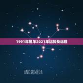 1991年属羊2021年运势及运程，91年属羊男2021年的运势和婚姻