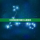 1990年的男马配什么属相合，男90属马的和什么属相最配