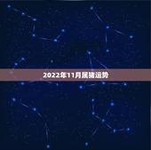 2022年11月属猪运势，2022年属猪人的全年运势