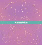 男鼠婚配忌属相，属鼠男配什么属相的才合适呢