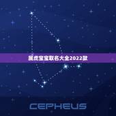 属虎宝宝取名大全2022款 最擅长读心术的三个星座