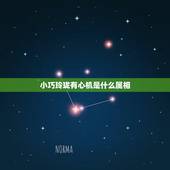 小巧玲珑有心机是什么属相，十二生肖中(小巧玲珑有心机)是指十二生肖中的