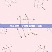 父母属牛一个属兔适合什么属相，属兔和属牛的应该生个什么属相的宝宝？