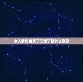 女人梦见鱼死了又活了是什么意思，我梦到好多鱼，但有的死了有的活的那意味