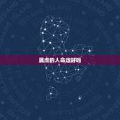 属虎的人命运好吗，60年一遇的水虎好吗